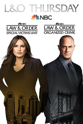 法律与秩序组织犯罪第二季 第8集