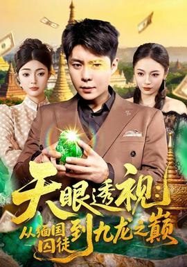天眼透视：从缅国囚徒到九龙之巅(全集)