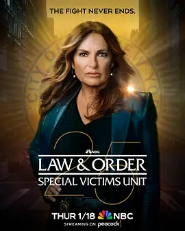 法律与秩序：特殊受害者第二十五季 第10集